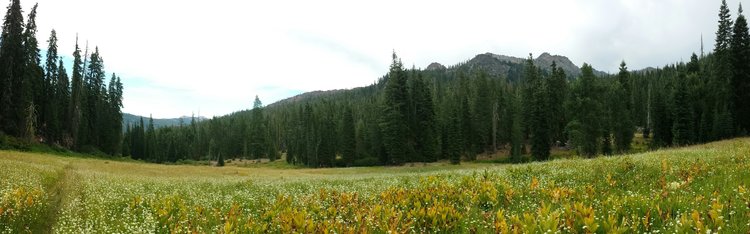 Mumford Meadow
