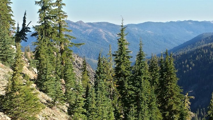 Swift Creek Canyon from the ridge above Ward Lake
