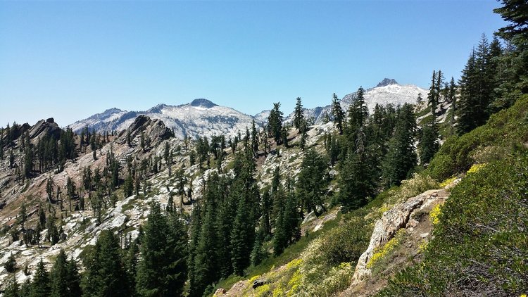 Sawtooth Ridge (from below the meadow at the top)