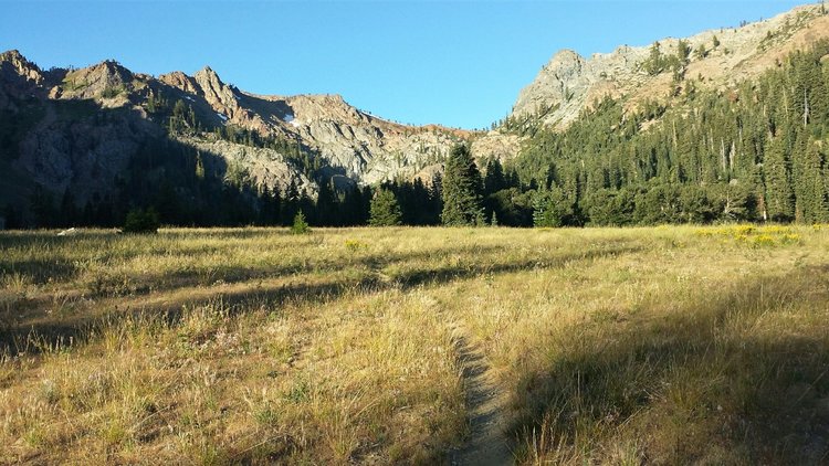 Bear Basin meadow