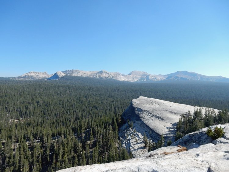 view NE from Lembert Dome