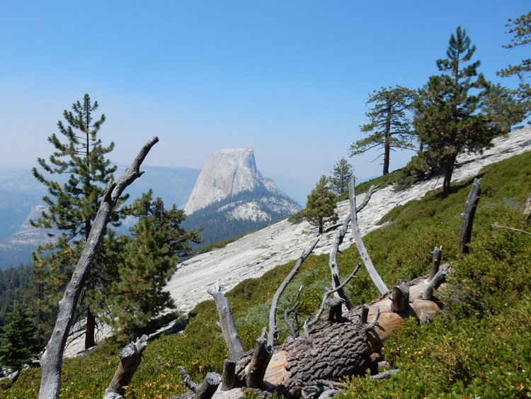 Half Dome