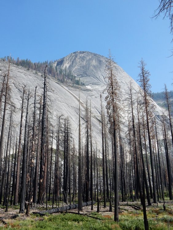 Little Yosemite Valley