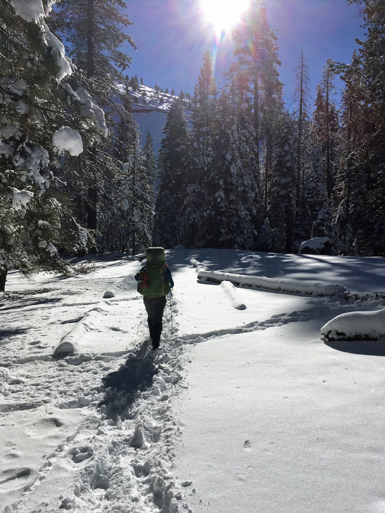 Snow not too deep