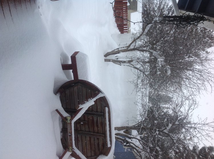 View of deck in back yard. 7&quot; on deck and bench 2' covering the grass. Boat nice and dry in its shelter