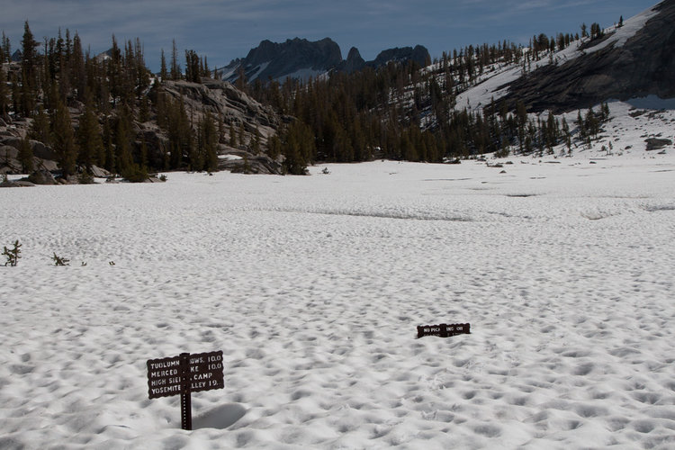 Sunrise Meadow looking back towards Matthes Crest.