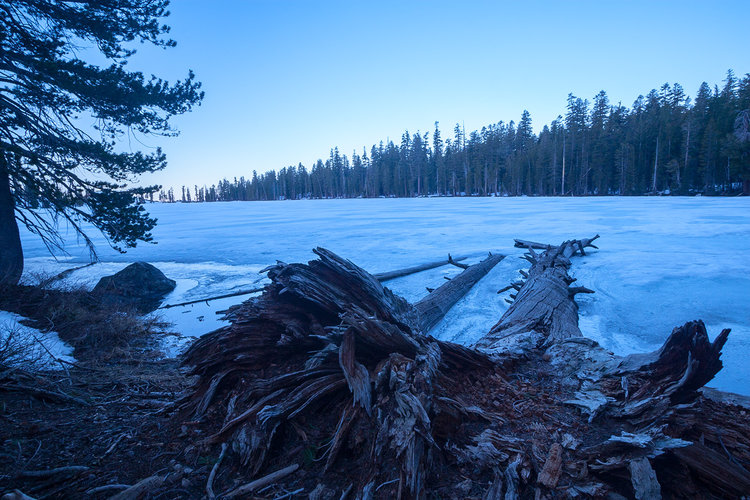 Miwok Lake