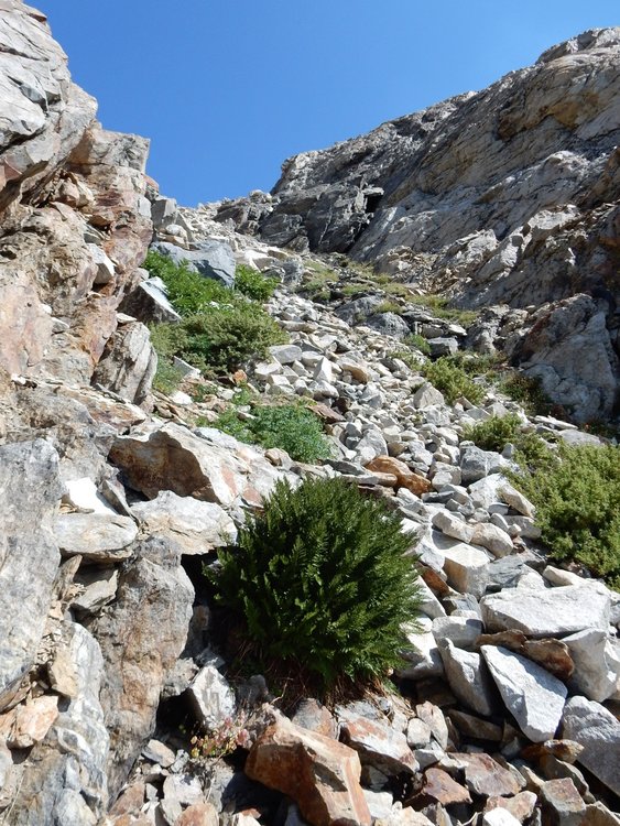 chute leading down from Nancy Pass