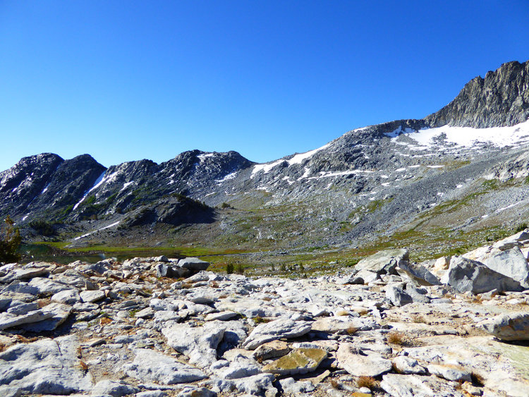 whitebark pass