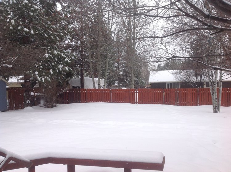 Clouded up again, lightly snowing. Sun likely to come out again before the day is over, after all it is Bend!