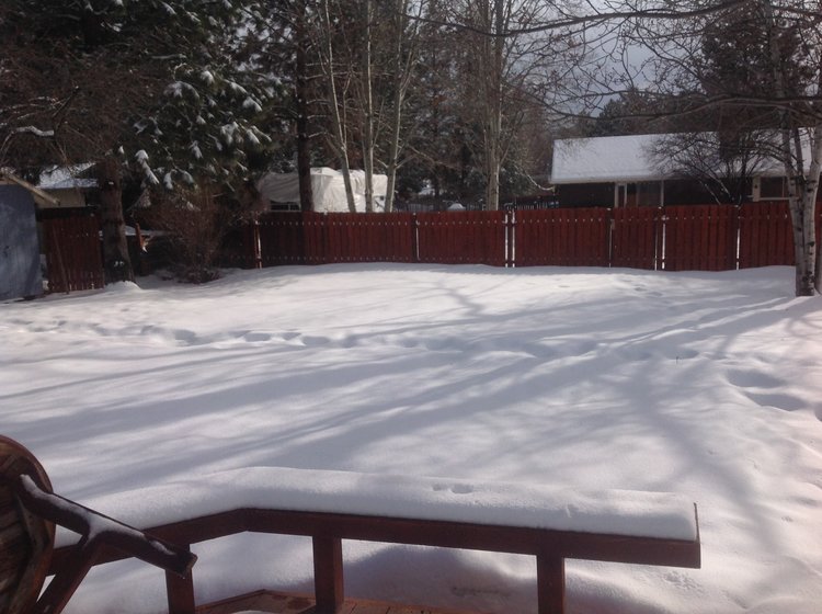 Told you the sun would come out again!