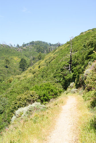 Coast Trail