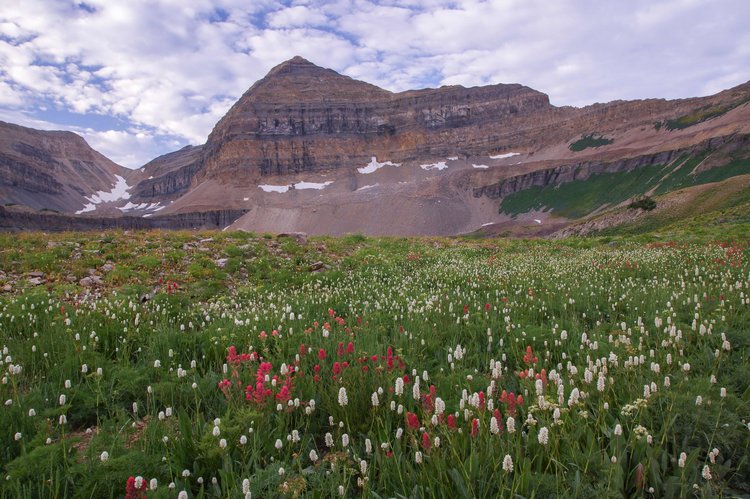 Arguably my favorite view during my time here was from Timpanogos Basin. I did have some moments to myself here, but later in the day I'd stand on the summit with probably 30 other people at one time. Additionally, the summit has a triangulation station covered in graffiti with a view of urban sprawl. From here, though, it looks great! Just use your imagination and pretend it's unspoiled.
