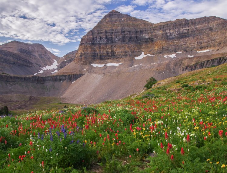 Another pic with Timpanogos Basin looking pristine with the same crowded, graffiti-covered, urban sprawl-straddling summit as the other Timp Basin photo.