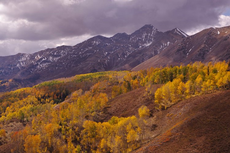 Mt. Nebo and its awesome fall colors are right next to a major scenic byway with cities immediately below it on the other side. I was able to escape the crowds, but could still hear the passing cars.