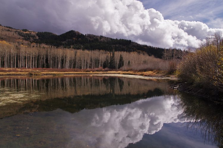 Willow Lake