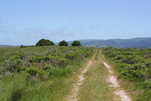 Estero Trail