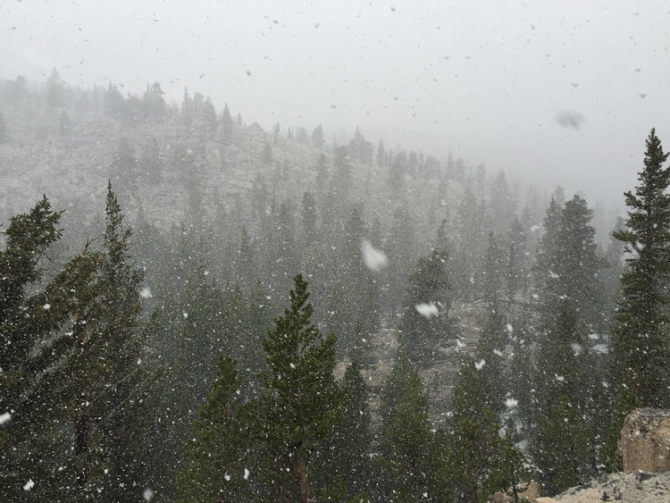 Blizzard in Mid June!