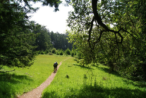 Meadow Trail