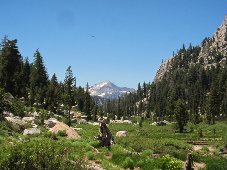 Mt. Clark from down the pass aways