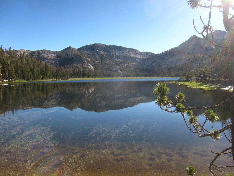 Nelson Lake
