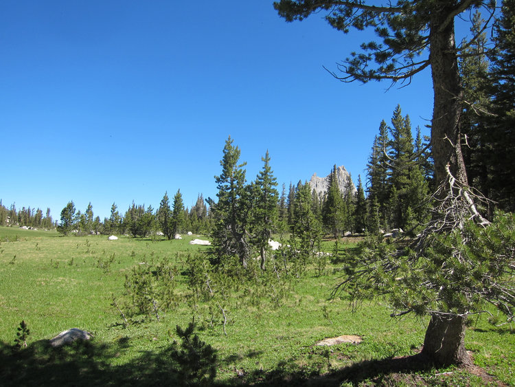 Meadow approaching Cathedral Pass
