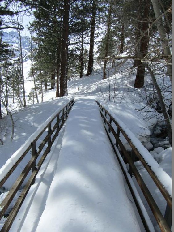 Snow covered bridge to south fork of Big Pine Creek