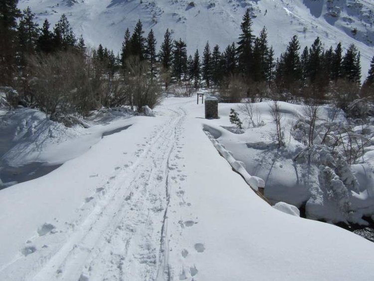 Bridge to Glacier Lodge