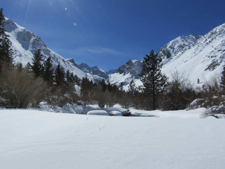 View up south fork Big Pine Creek drainage