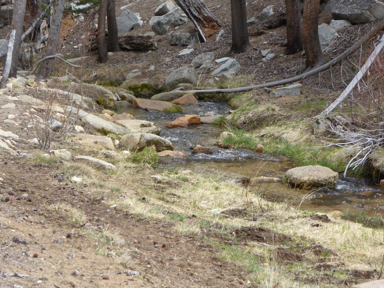South Fork Kern River