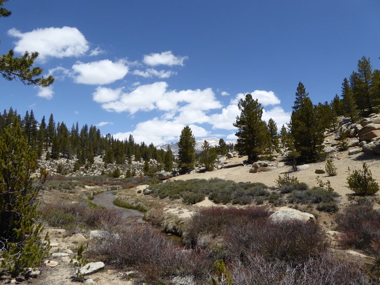 Approaching Big Whitney Meadow
