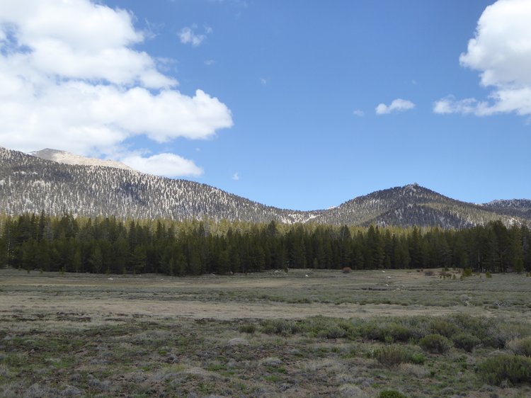 Cottonwood Pass viewed from Big Whitney Meadow