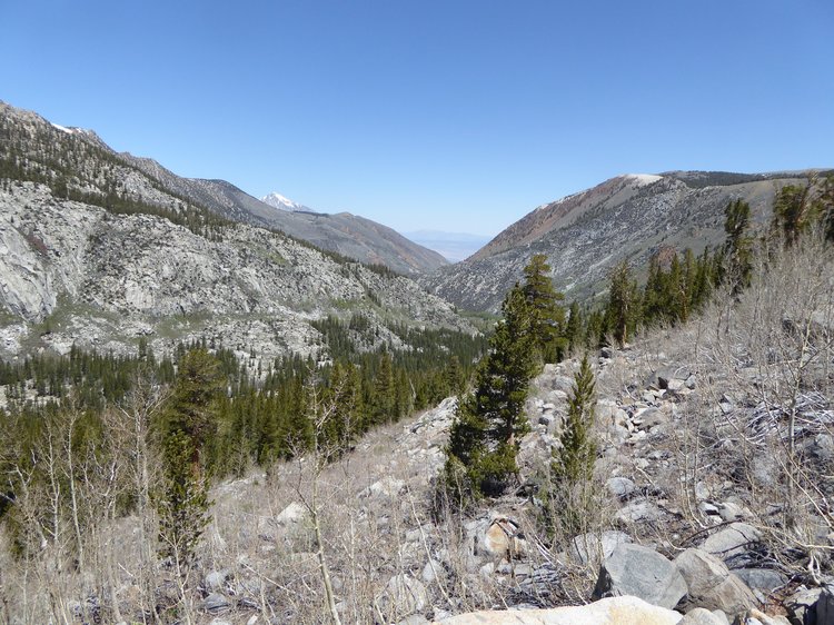 View north down the South Fork Bishop Creek canyon