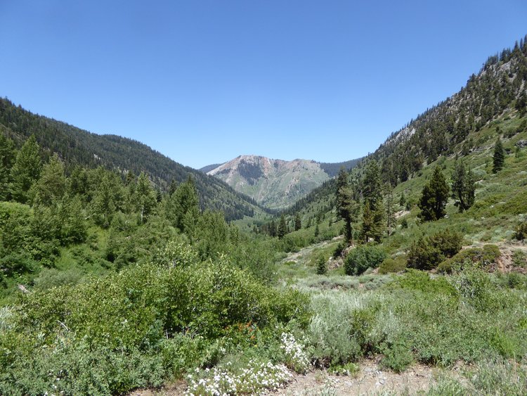 View back to Mineral King valley