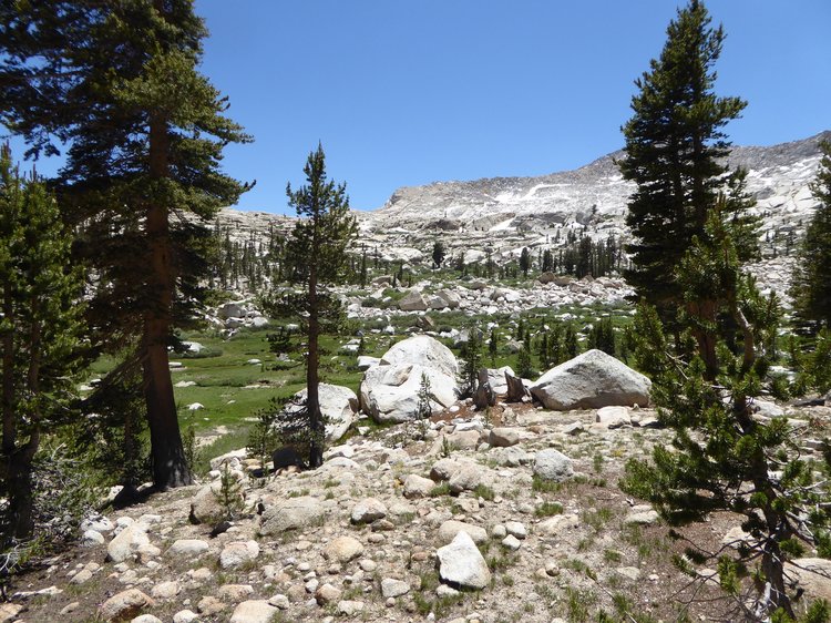 Upper Rattlesnake Creek