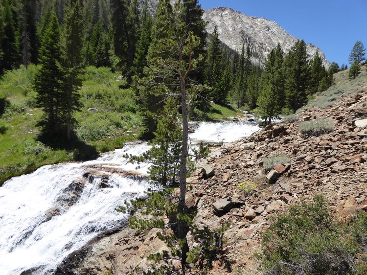 Rattlesnake Creek