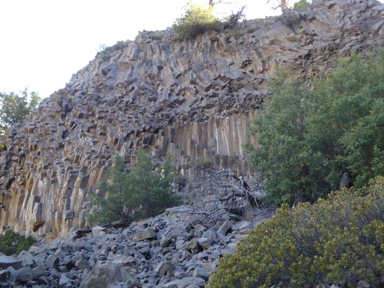 Columnar basalt along Golden Trout Creek trail