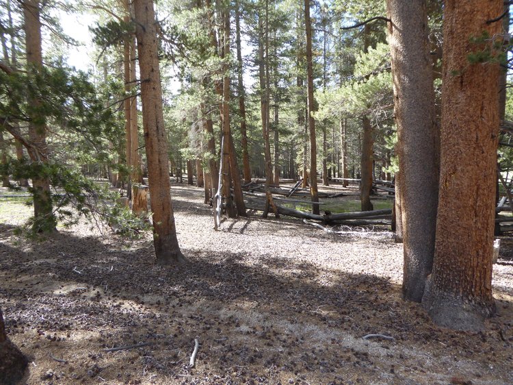 Old corrals at Tunnel Meadow airstrip