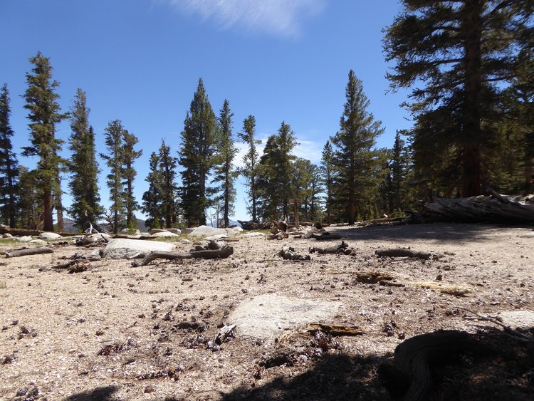 Trail Pass