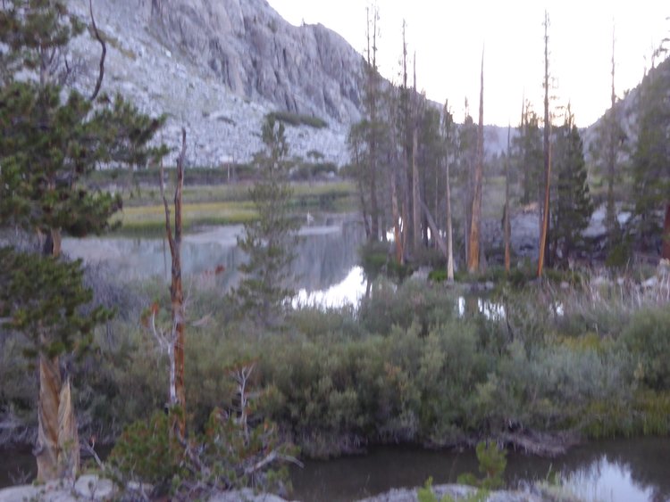 Willow Lake