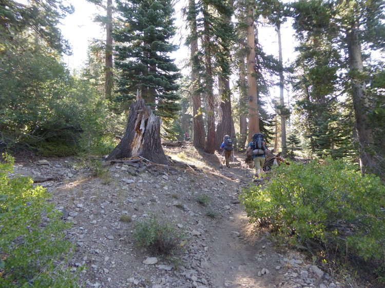 Hitting the trail.