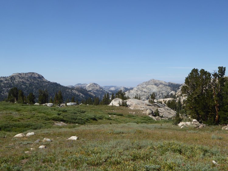 Starting drop to Summit Meadow