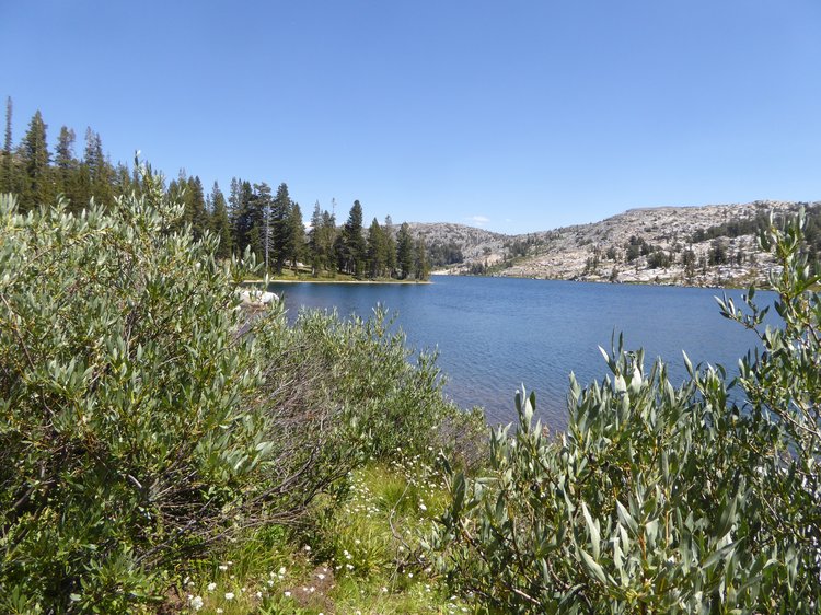 Dorothy Lake