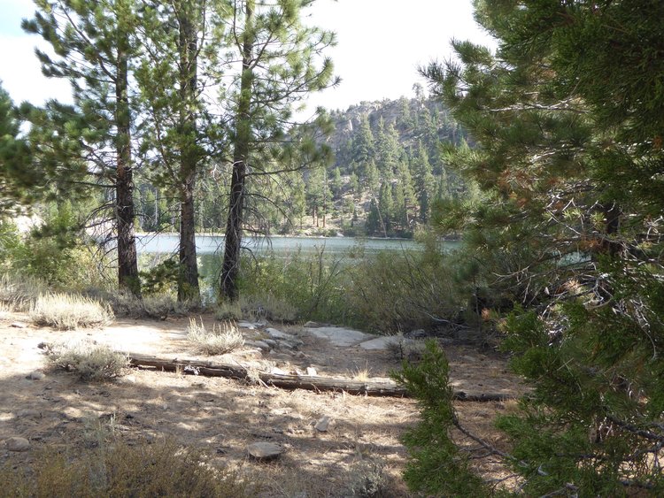 Roosevelt Lake