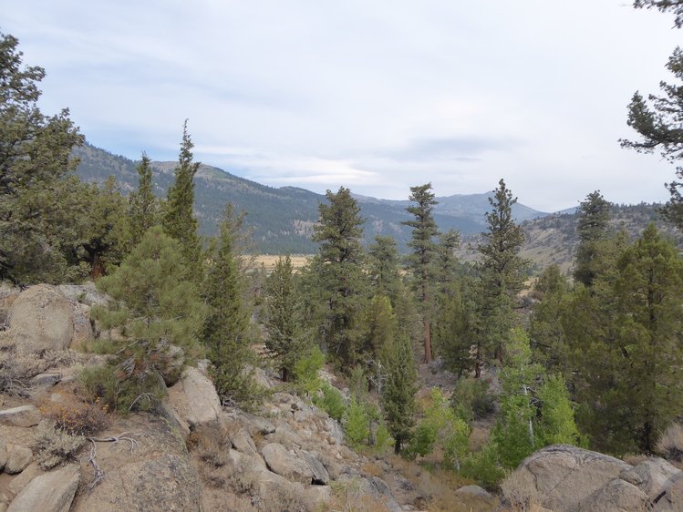 Leavitt Meadow coming into view