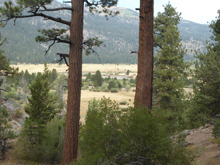 West Walker River