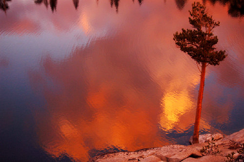 sierrasurreal72.jpg