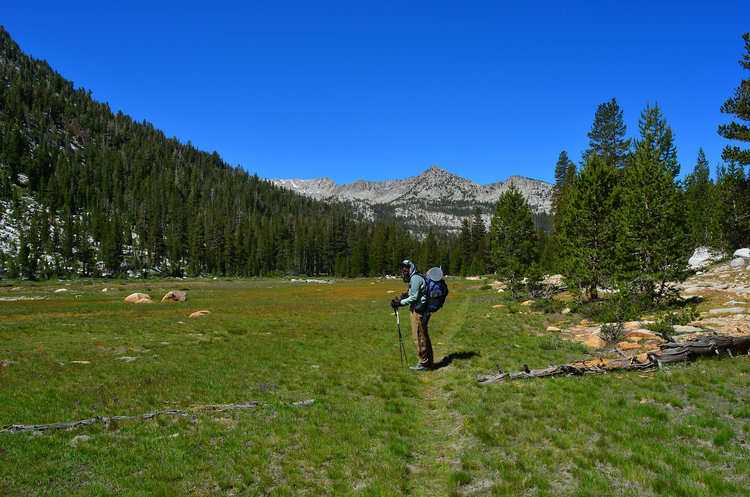 Isn't that just a lovely beautiful green meadow? Oh wait... it's a deathtrap to get eaten alive by blood sucking flying vampires.... Aka Mosquitoes.
