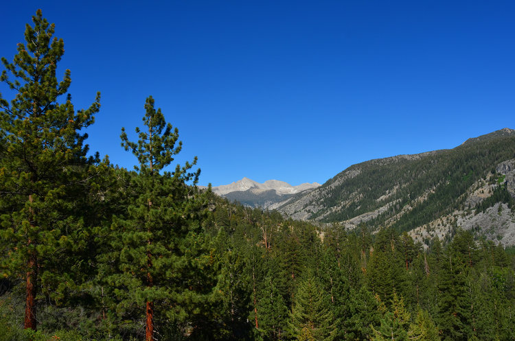 Some awesome views looking into the heart of the Sierra. Recess Peak stands proud.