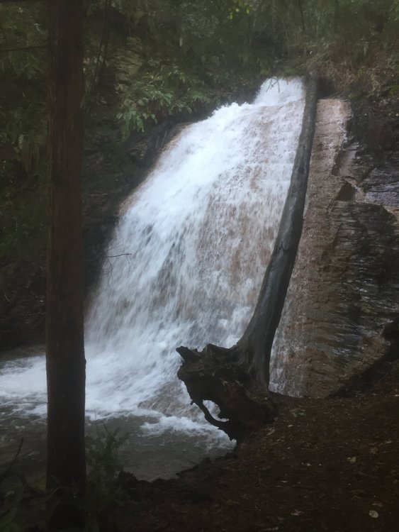 Falls above Berry Creek 2017.jpg